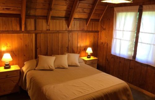 Correntoso Cabin | Discover Cabañas La Pampita: Pet-Friendly Getaway with Pool