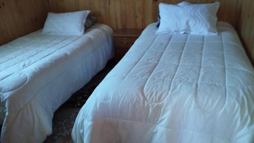 Melipeuco Apartment | Cabañas la tía Julia