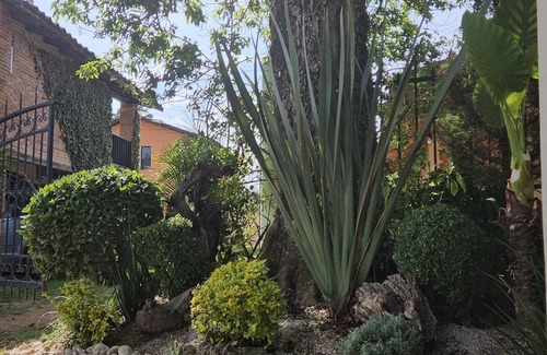 Zacatlan House | Family-Friendly Retreat at Cabañas Las Gardenias 4