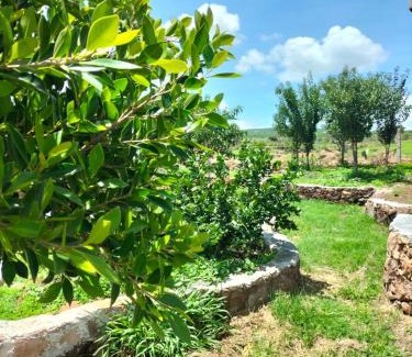 La Mancha House | Pet-Friendly Cabañas Los Laureles: Family Fun Awaits