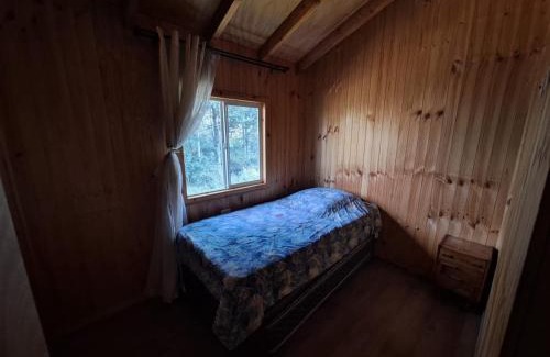 Castro Apartment | Pet-Friendly Retreat at Cabañas Los Notros - 10/10 Rated