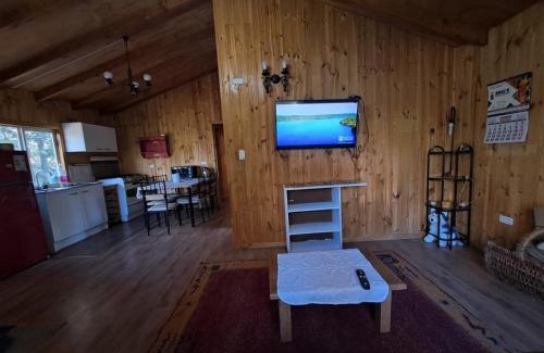 Castro Apartment | Pet-Friendly Retreat at Cabañas Los Notros - 10/10 Rated