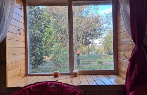 Castro Apartment | Pet-Friendly Retreat at Cabañas Los Notros - 10/10 Rated