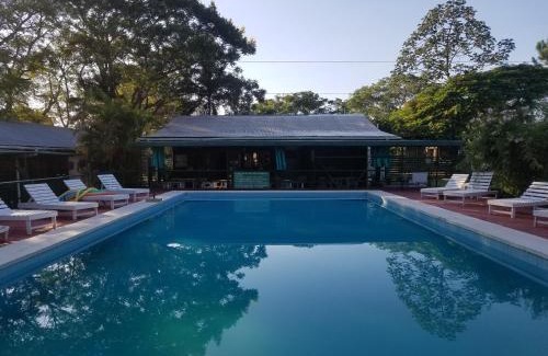 Puerto Valle Cabin | Discover Cabañas Los Troncos: Pet-Friendly Ocean Views