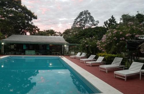Puerto Valle Cabin | Discover Cabañas Los Troncos: Pet-Friendly Ocean Views