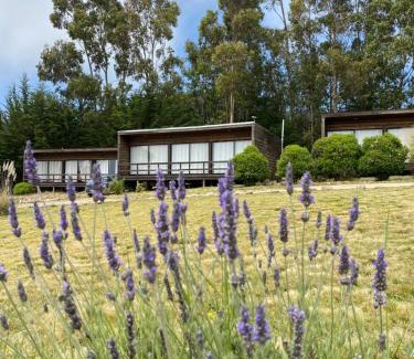 Curanipe Other | Discover Cabañas Lovel-Van with Oceanfront Pool Access