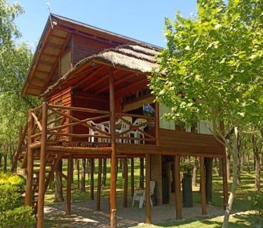 San Pedro Cabin | Cozy Cabañas Manantiales de Obligado - Rated 9/10 & Pet Friendly