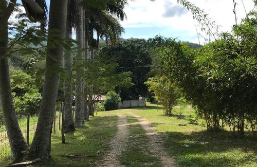 Palenque House | Discover Cabañas Maya Rue: Family-Friendly Retreat with Pool