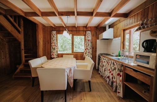 Pucon Cabin | Pet-Friendly Cabañas Metreñehue with Pool & Spa Amenities