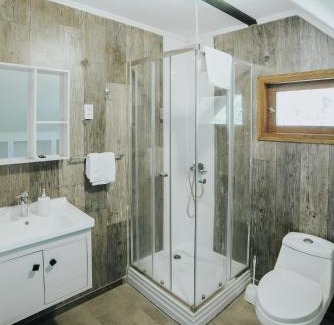 Pucon House | Discover Cabañas Metreñehue: Pet-Friendly Oceanfront Retreat
