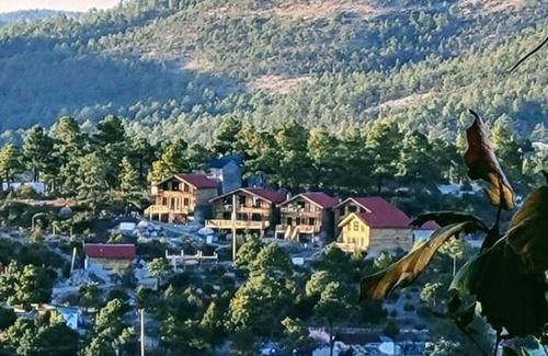 Creel House | Pet-Friendly Getaway at Cabañas MI REFUGIO - 10/10 Rated