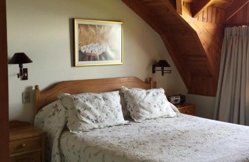 Pucon Cabin | Discover Cabañas Monte Verde: Family-Friendly Retreat