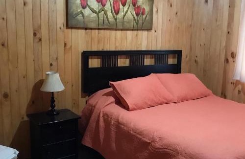 Los Angeles Apartment | Guest Favorite Cabañas MonteNegro: Pet-Friendly Getaway