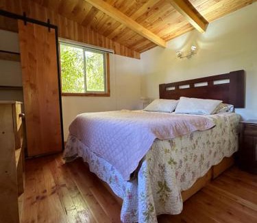 Villarrica Apartment | Pet-Friendly CABAÑAS Mony: Rated 10/10 with Pool & Hot Tub