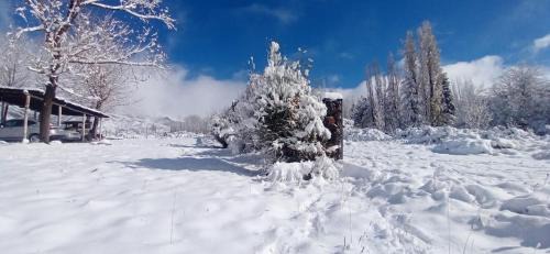Salto Cabin | Pet-Friendly Cabañas Nubes del Plata with Hot Tub Access