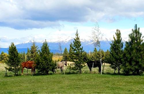 Trevelin Cabin | Guest Rated 10/10: Cabañas Nuestra Vista for Families & Pets