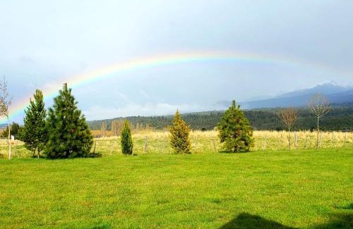 Trevelin Cabin | Guest Rated 10/10: Cabañas Nuestra Vista for Families & Pets