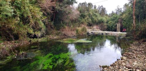 Hornopiren National Park House | Family-Friendly Cabañas P y R los Canelos - Guest Rated 9.2