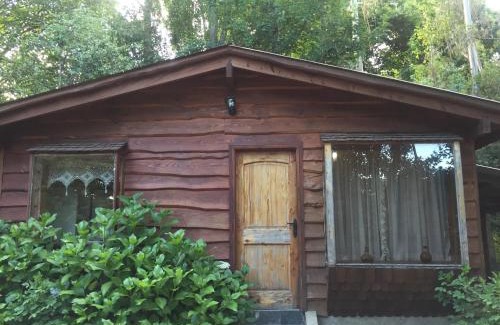 Panguipulli House | Cozy Cabañas Paihuén with Ocean View & Hot Tub