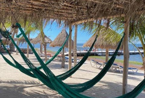 Dzilam de Bravo Hotel | Discover Cabañas Perla Escondida: Ocean View Retreat