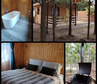 El Quisco Ski Chalet | Pet-Friendly Cabaña Pinos del Mar with 9.9 Guest Rating