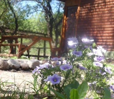 Ischilin House | Enjoy Cabañas PLÉYADES: Pet-Friendly Retreat with Pool