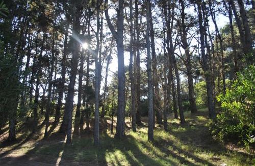 Mar Azul Cabin | Cozy Cabañas Poetas del Bosque with Kitchen & Breakfast
