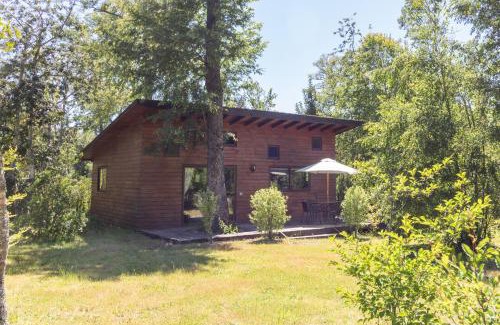 Pucon Ski Chalet | Pet-Friendly Cabañas Pucon: Highly Rated Family Retreat