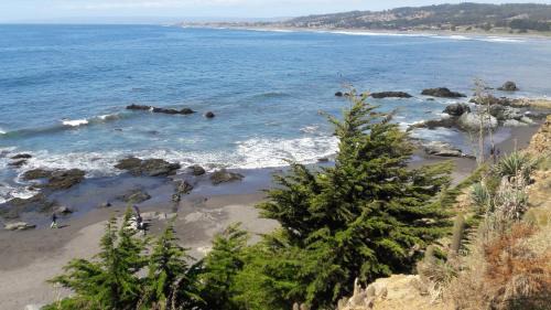 Pichilemu Apartment | Discover Cabañas Rancho Pinares: Pet-Friendly Oceanfront Bliss