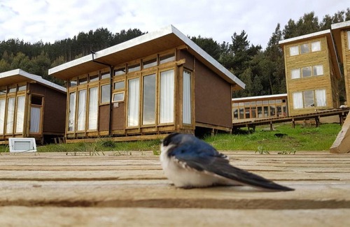 Curanipe Hotel | Discover Cabanas Rio Chovellen: Pet-Friendly Getaway