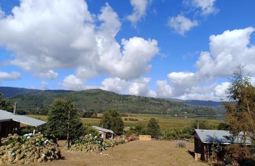Contulmo Cabin | Cabañas Rucantu