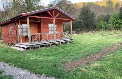 Pucon House | Top-Rated Cabañas Rukafun 1: Ideal for Families