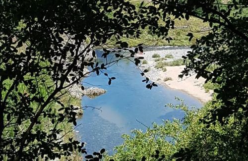 San Miguel de los Rios Cabin | Discover Cabañas San Miguel: Ocean View & Pet-Friendly Retreat