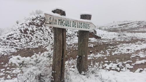 San Miguel de los Rios Cabin | Discover Cabañas San Miguel: Ocean View & Pet-Friendly Retreat