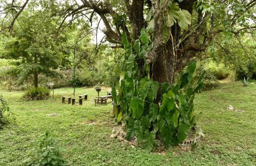 Jalpan de Serra Hotel | Family-Friendly Retreat at Cabañas Sierra Gorda
