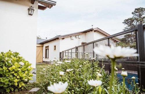 Villa La Arcadia Apartment | Pet-Friendly Cabañas Sol Serrano with Pool & Kitchen Access