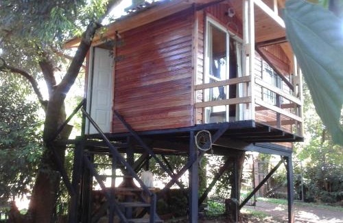 Obera Hotel | Relax at Cabañas Sueño Azul: Oceanfront & Pet Friendly