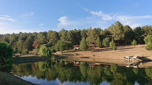 Tapalpa Ski Chalet | Cozy Cabañas Tapalpa Sierra del Tecuan with Pet-Friendly Perks