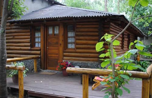 Las Gaviotas Cabin | Family-Friendly Cabañas Tehuel with Pool & Pet Amenities