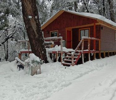 Pinto Cabin | Cabañas Termas de Chillán