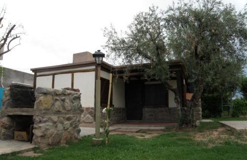 Maipu Cabin | Pet-Friendly Cabañas Terra Olivo with Ocean View & Pool