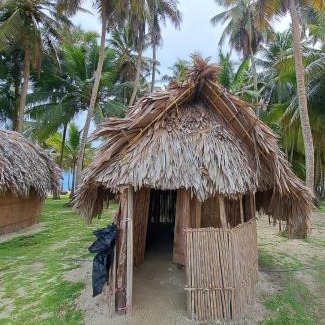 Carti Tupile Apartment | Idyllic Cabañas en Isla Aroma with Private Beach Access