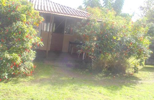 Hanga Roa Ski Chalet | Discover Oceanfront Cabañas Varua with Kitchen Amenities
