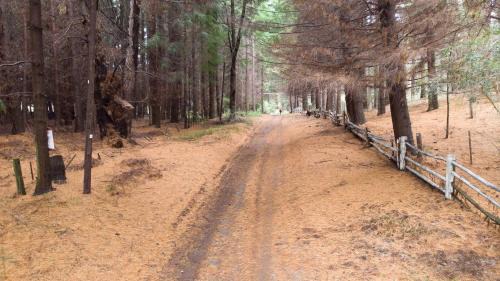 San Carlos de Bariloche Cabin | Discover Family-Friendly Cabañas Villa Sequoia - 9.2/10 Rated