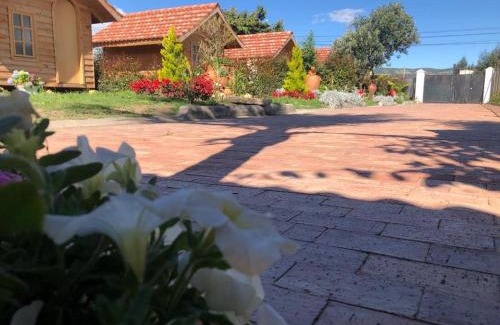 Cajica Bed & Breakfast | Cozy Cabañas Villa Isabel: Pet-Friendly Retreat Awaits