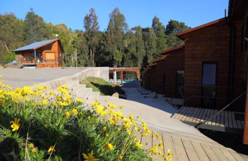 Pichilemu Apartment | Experience Cabañas y Spa Costa Patagonia with Ocean Views