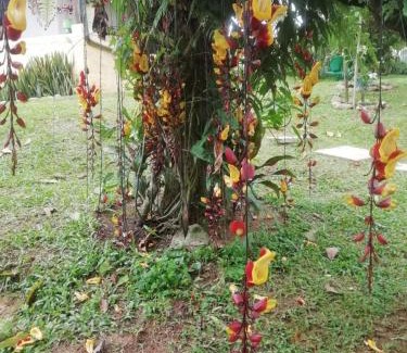 Floridablanca Apartment | Nature Retreat: Cabañita en Mesa de Ruitoque, Family-Friendly