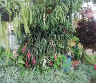 Floridablanca Apartment | Nature Retreat: Cabañita en Mesa de Ruitoque, Family-Friendly