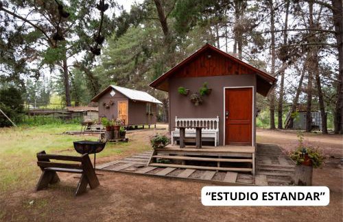 El Quisco Cabin | Guest Favorite: Cabañitas del Bosque with Family-Friendly Amenities