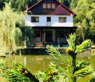 Cosbuc House | Explore Cabana Țibleș: Pet-Friendly Retreat with Breakfast